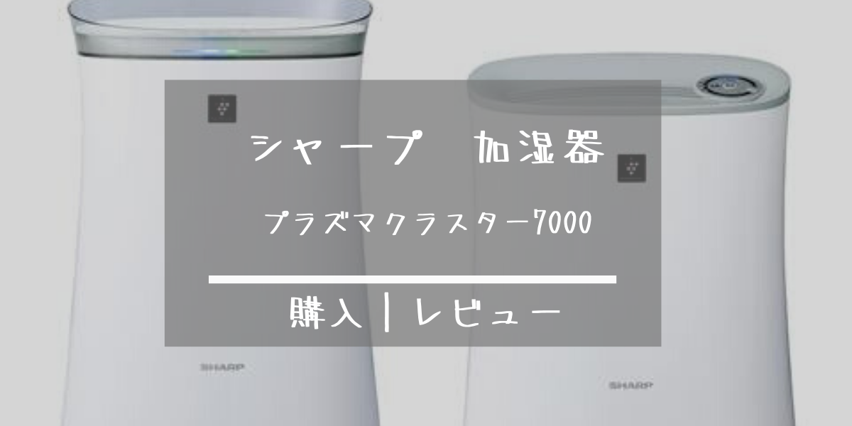 無印すきバサミ 誰でも綺麗に切れる 初心者が使った感想とデメリット紹介